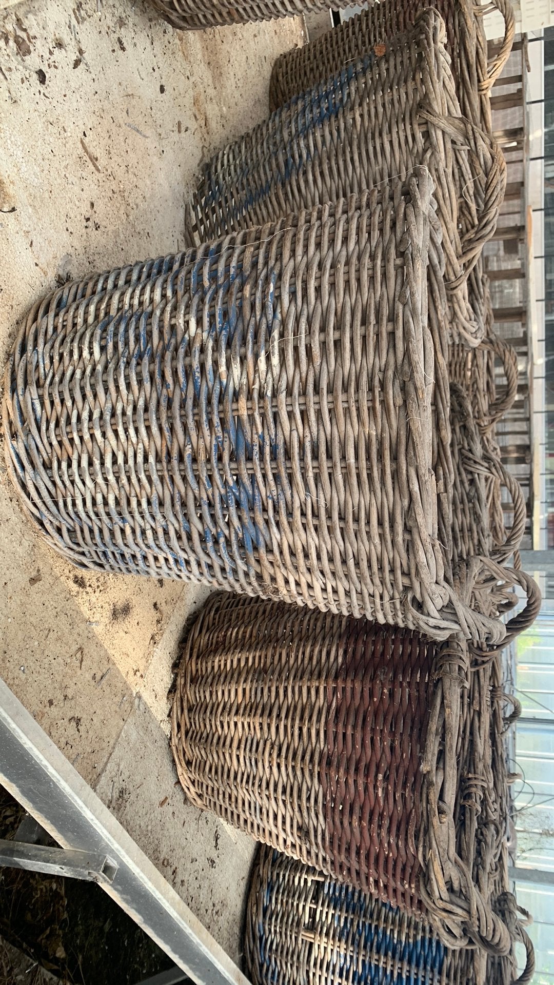 Te Koop Bloembollen manden, Gebruikt, Rond, Ophalen of Verzenden, Balkon