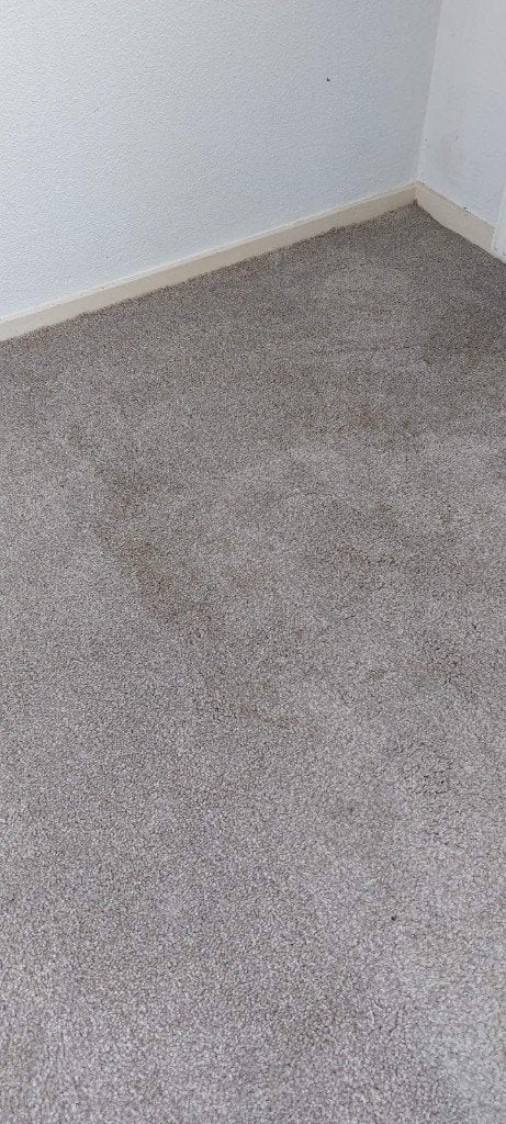 Professional Deep Cleaning at Home, Schoonmaken bedrijfsruimte