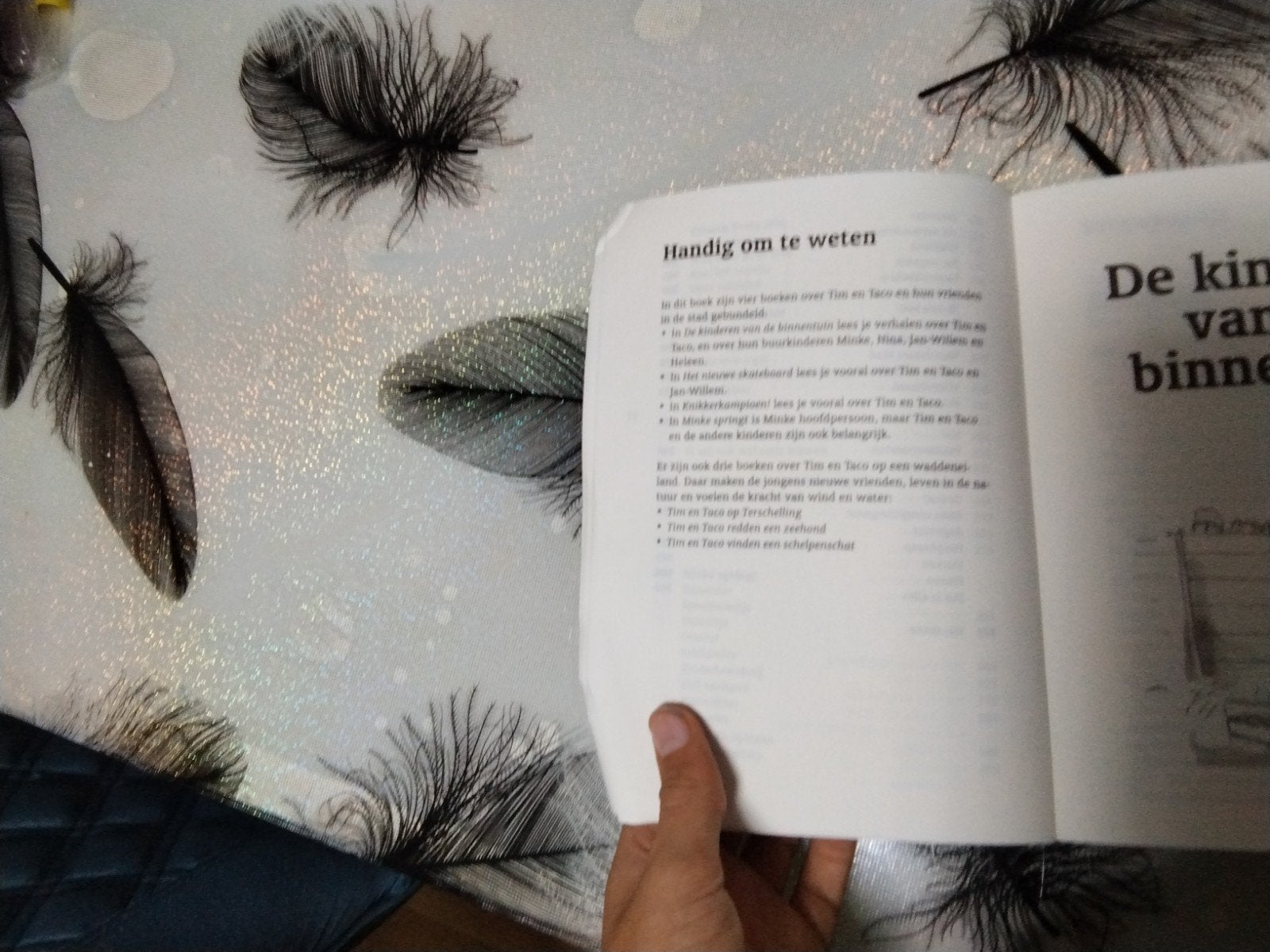 Foto 5 van Het grote boek van Tim en Taco - Lieke van Duin