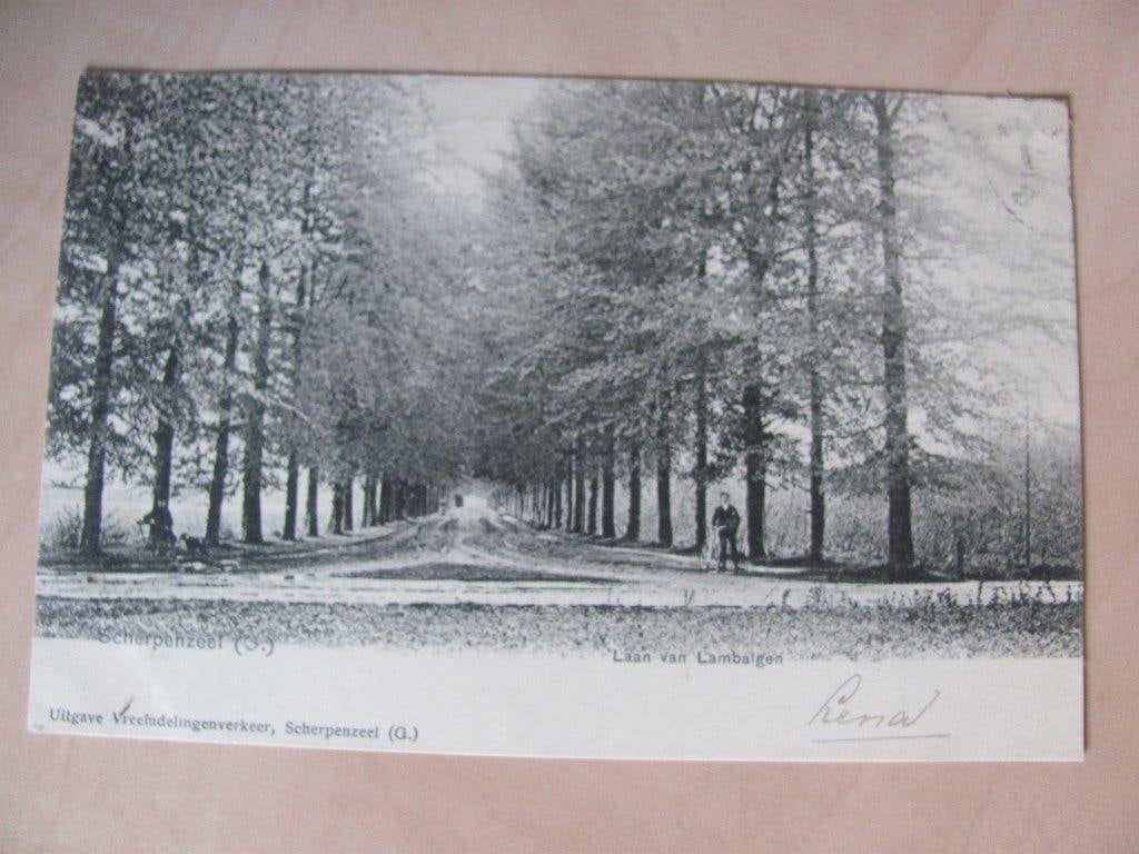 Scherpenzeel 1902 Laan van Lambalgen, Ophalen of Verzenden, Voor 1920, Gelopen, Gelderland