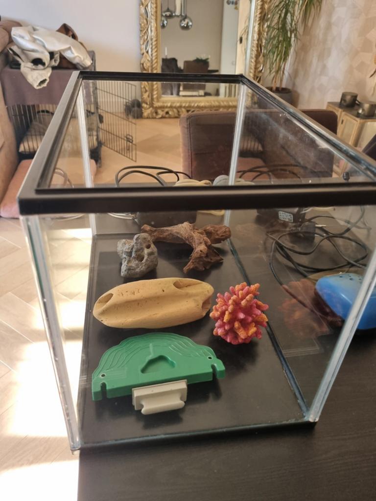 Aquarium, Ophalen of Verzenden, Zo goed als nieuw