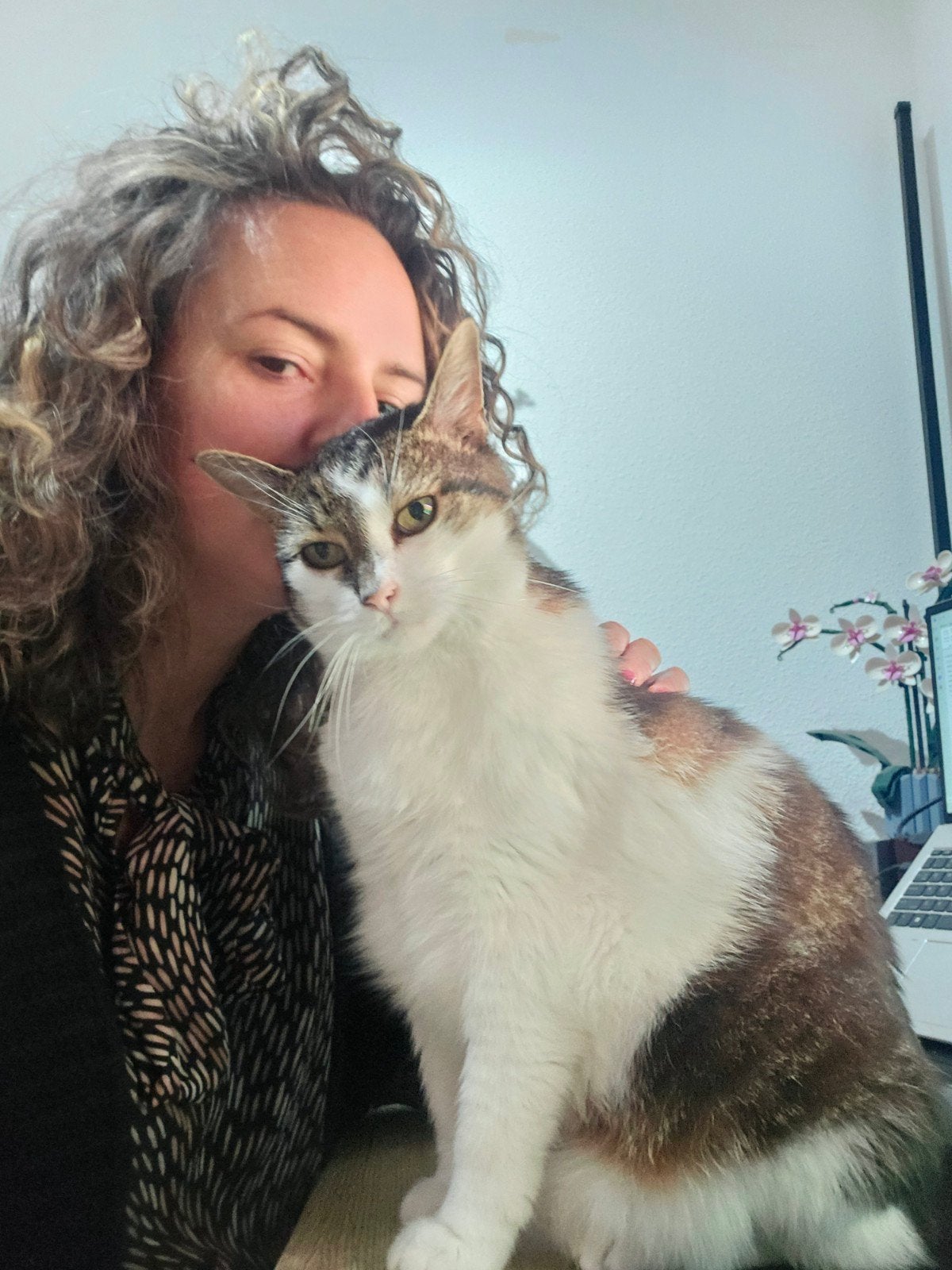 kattenoppas bij in ons huis Rosmalen/Den Bosch, Ophalen