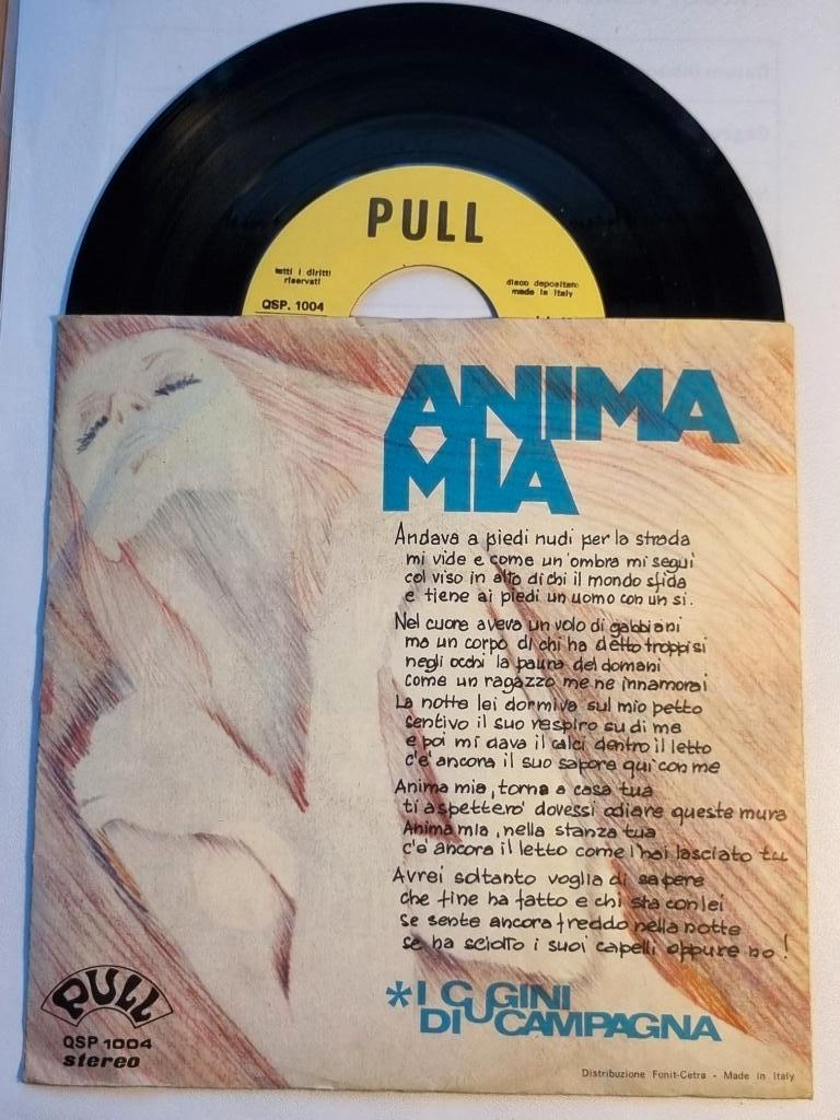 single I Cugini di Campagna ANIMA MIA plaat uit 1973, 7 inch, Single, Ophalen of Verzenden, Zo goed als nieuw