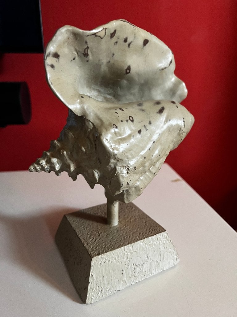 grote decoratie schelp op voet, Ophalen of Verzenden