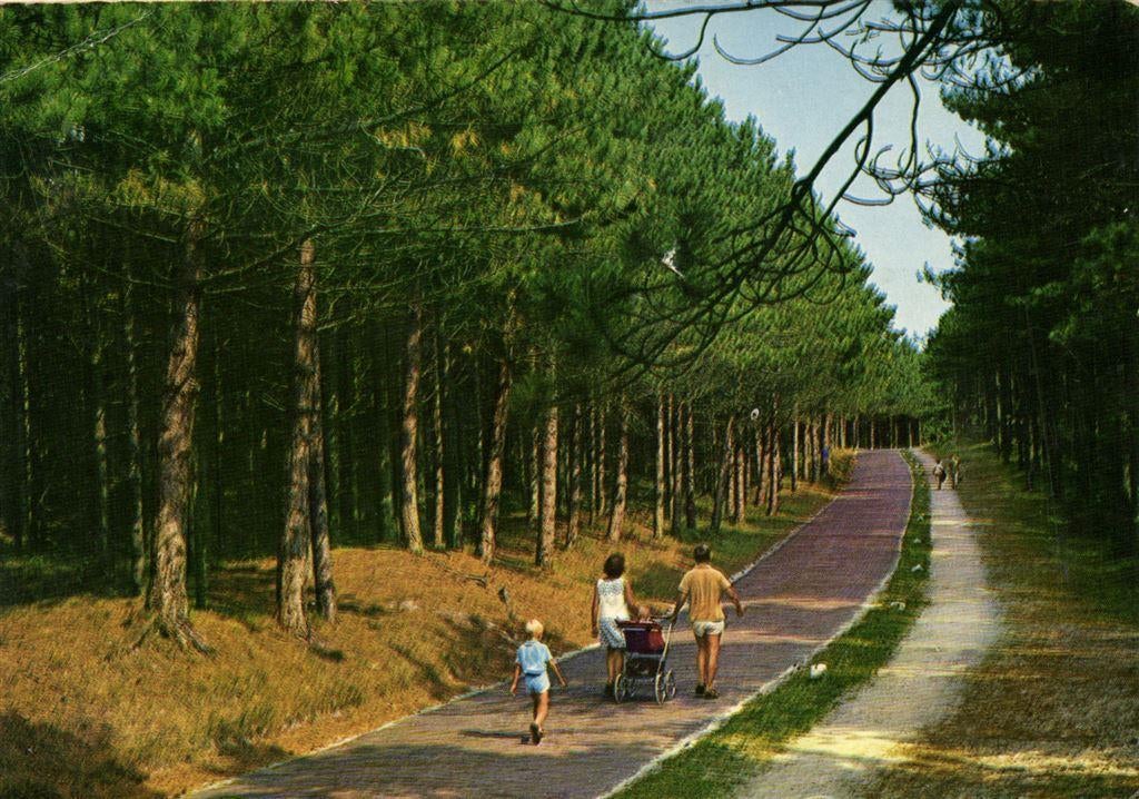 Groeten van Vlieland - wandelend gezin - gelopen, Verzamelen, Ansichtkaarten | Nederland, Ophalen of Verzenden, Voor 1920, Gelopen