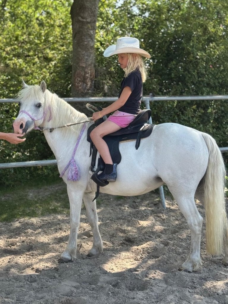 Westernzadel voor kind / kleine pony – nieuwstaat, Ophalen, Zo goed als nieuw