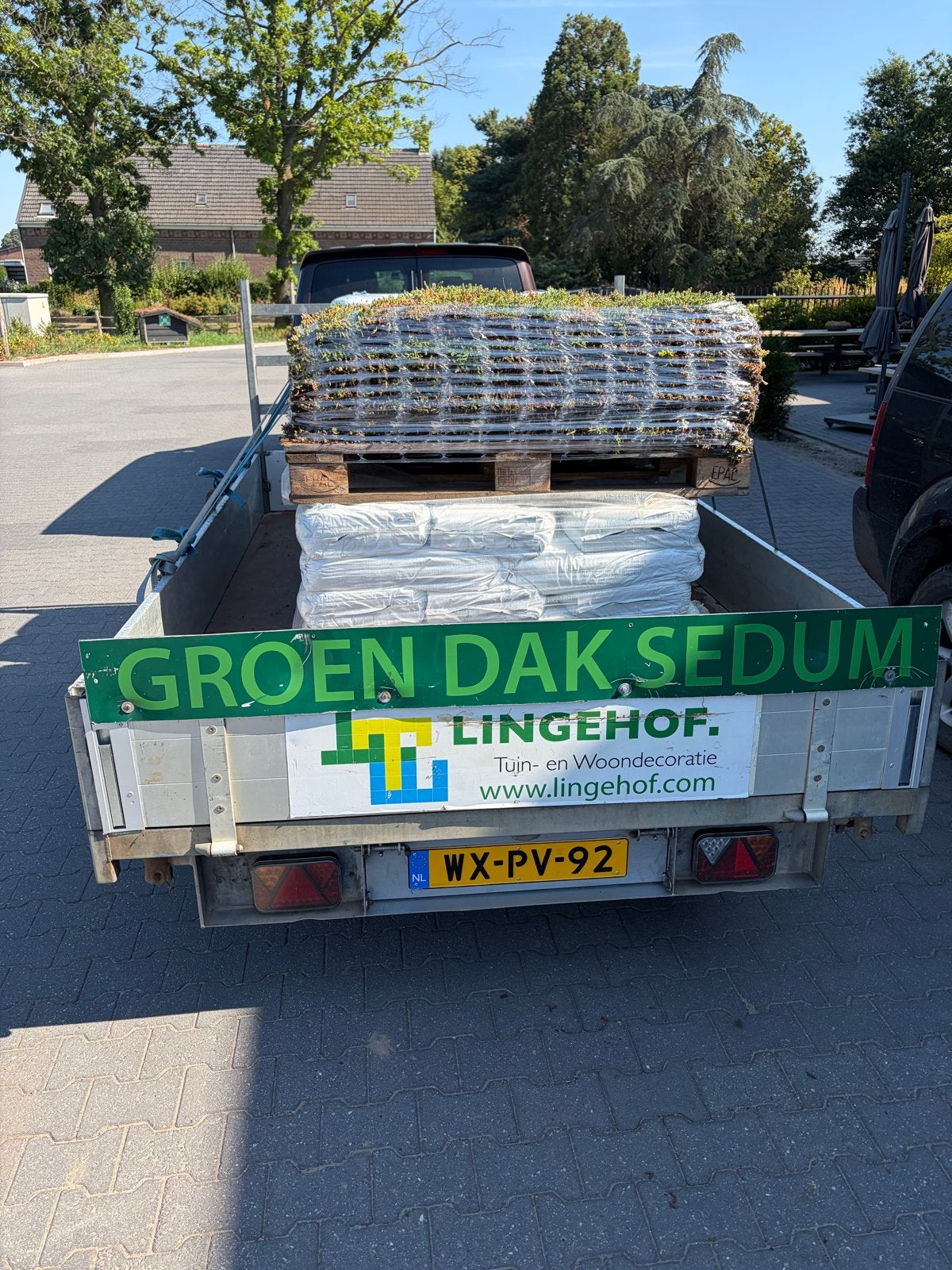 Sedum Groendak Cassettes - Kant en Klaar, Bodembedekkers, Volle zon, Vaste plant, Ophalen of Verzenden