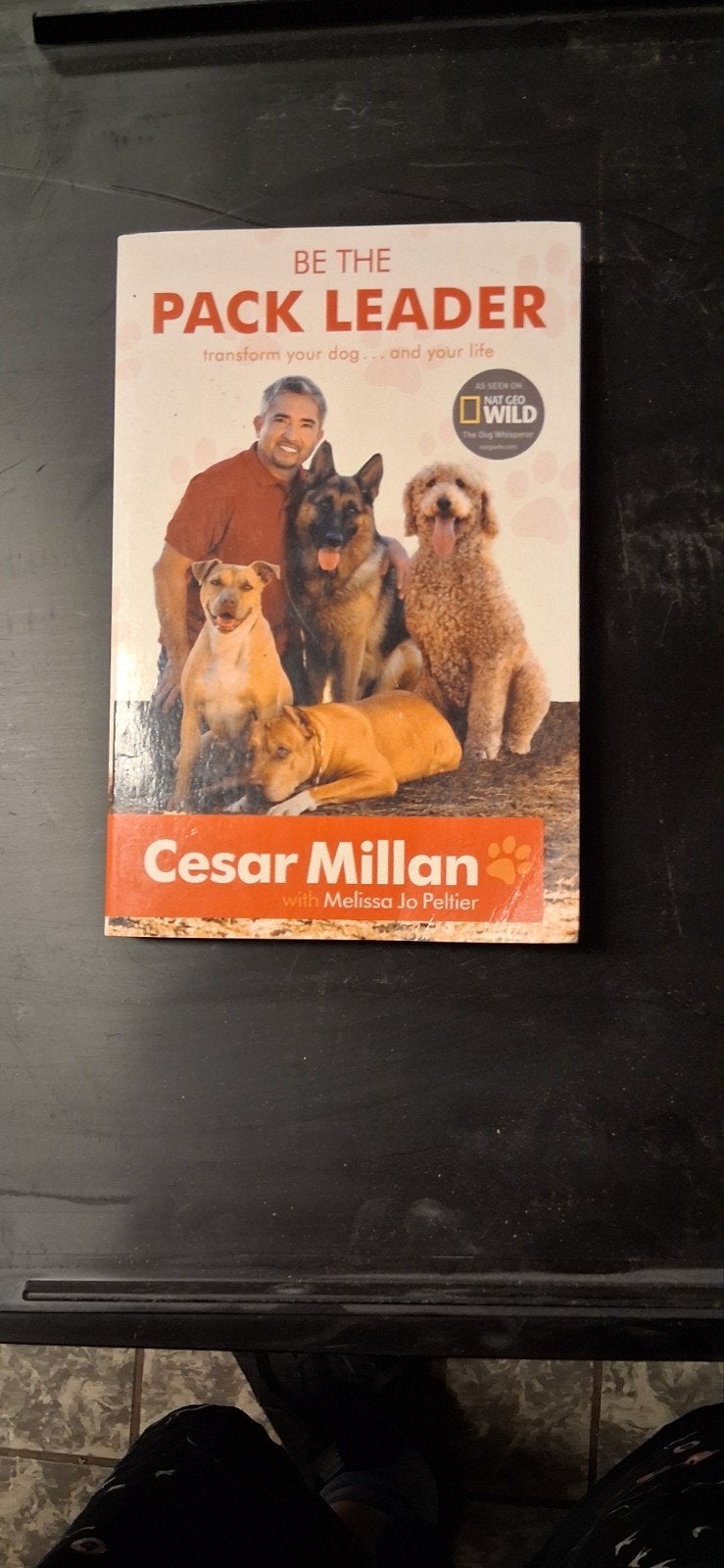 Be the Pack Leader - Cesar Millan (Hondenboek), Gelezen, Honden, Cesar Millan, Ophalen of Verzenden