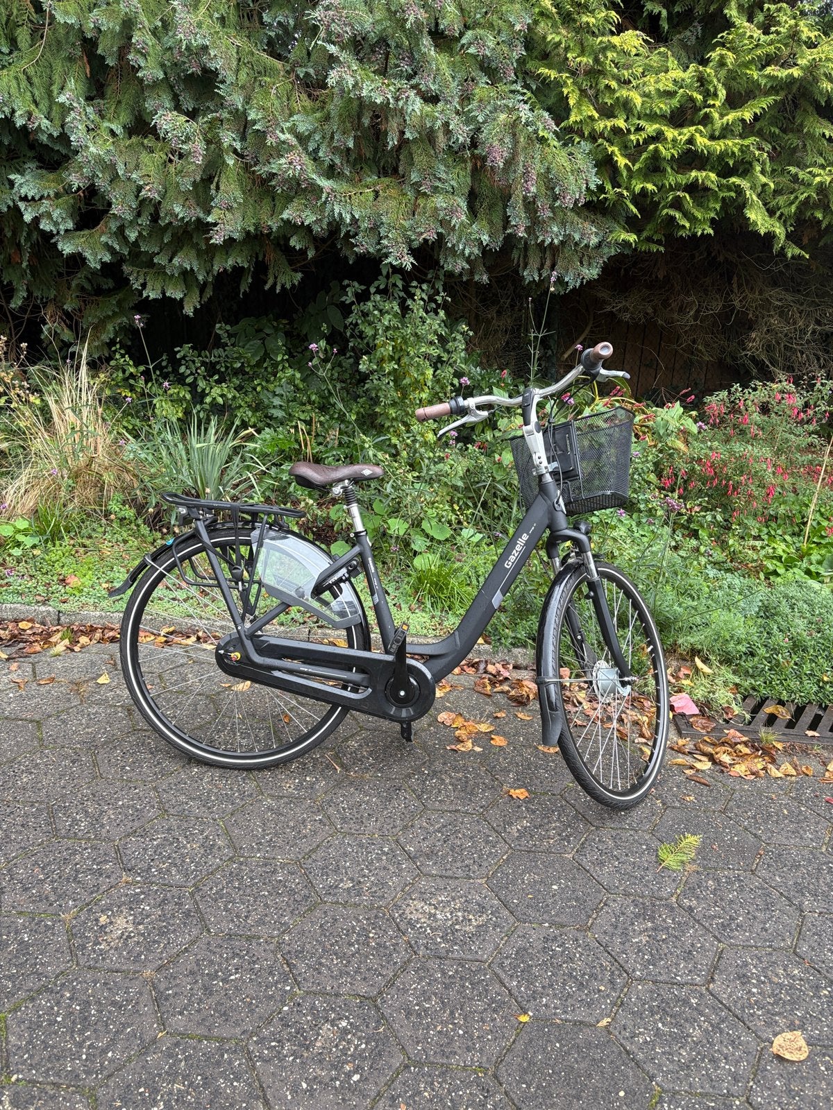 Gazelle damesfiets, Ophalen, Zo goed als nieuw, Gazelle, Versnellingen