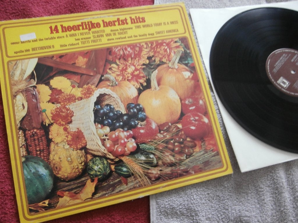 LP - 14 Heerlijke Herfst Hits - Various Hits., LP, Zo goed als nieuw, Pop, 12 inch