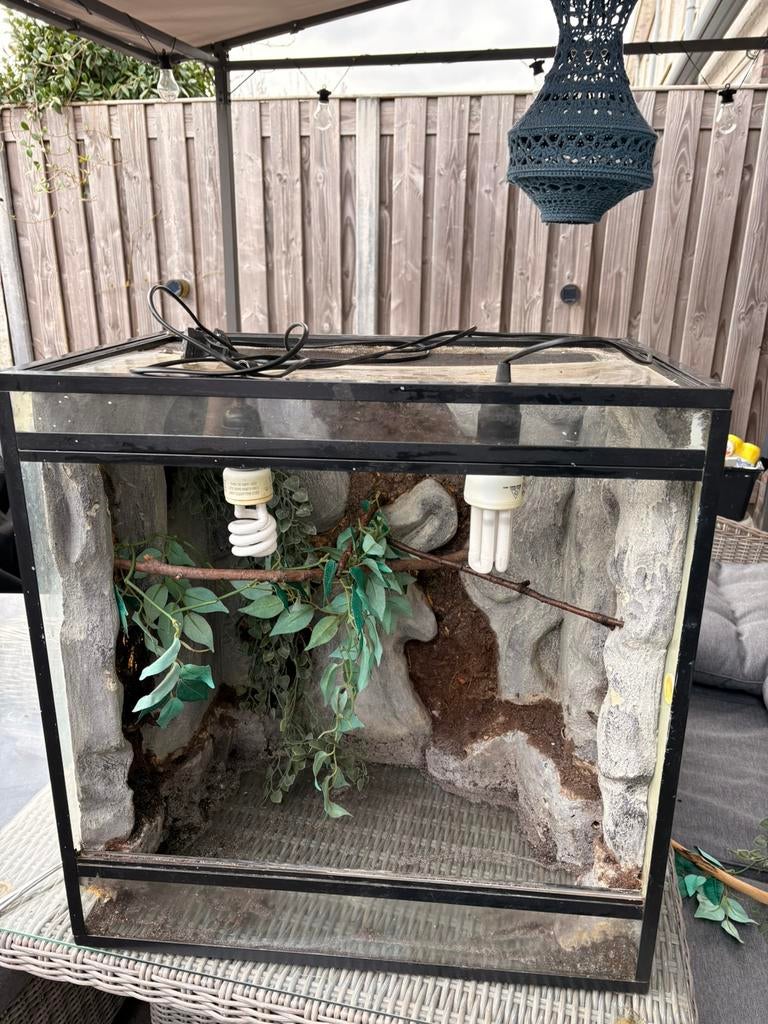 Terrarium + accessories, Dieren en Toebehoren, Reptielen en Amfibieën | Toebehoren, Ophalen, Gebruikt, Terrarium of Paludarium