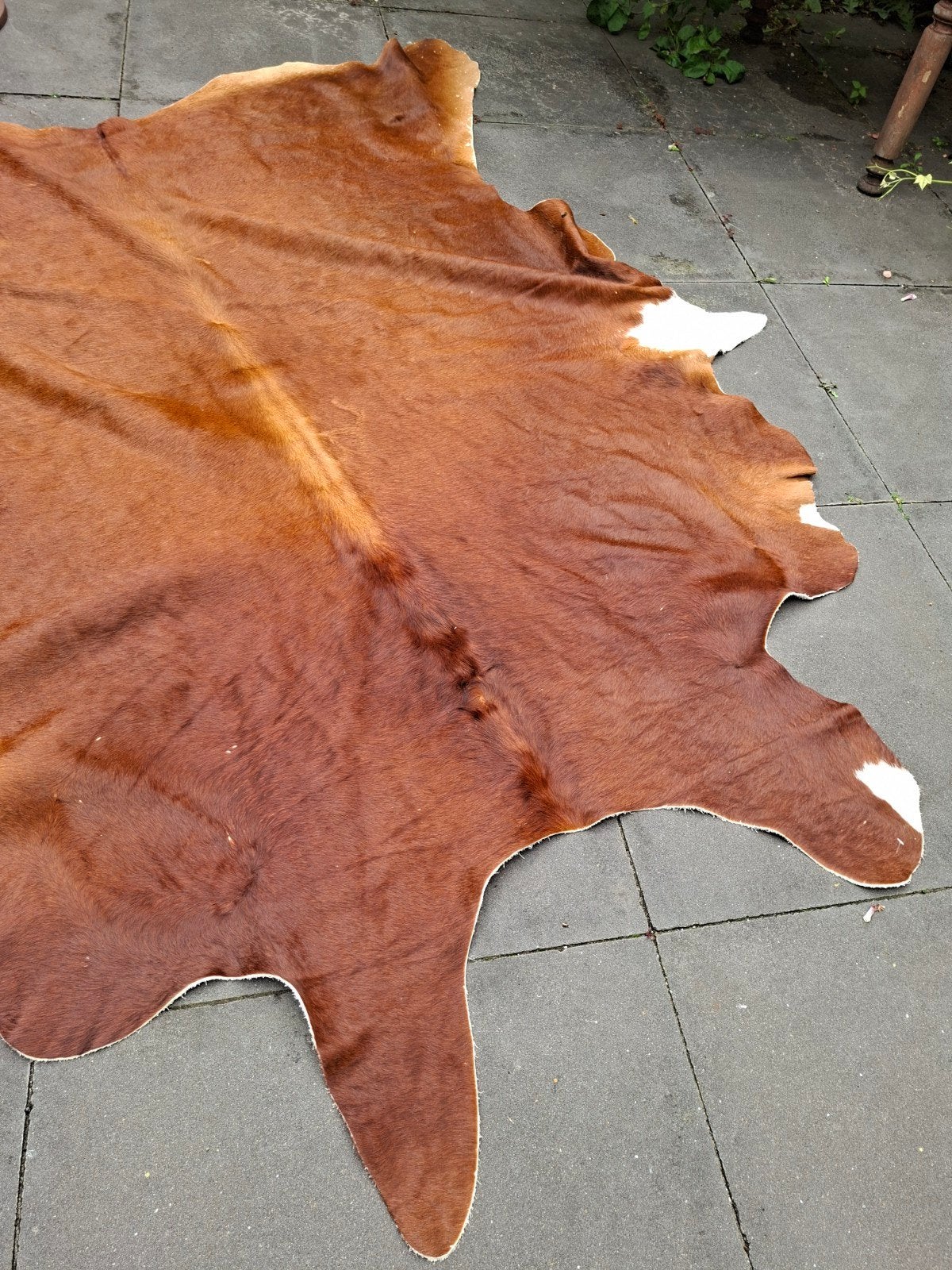 Prachtig echt bruin koeienhuid vloerkleed, Huis en Inrichting, Natuurlijk, Rustiek, Modern, 100 tot 150 cm, Ophalen of Verzenden