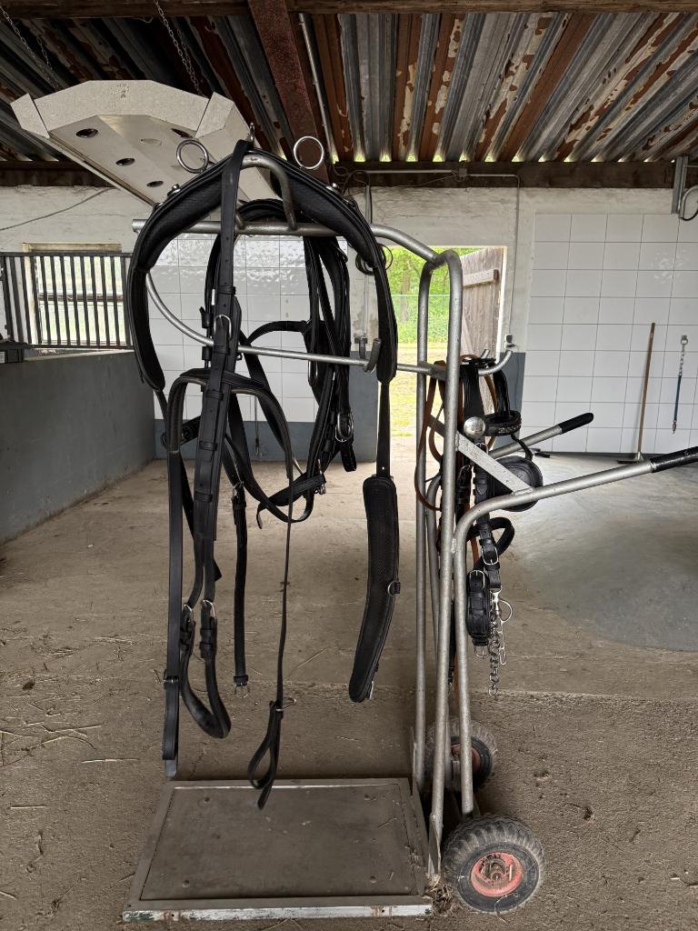 Mentuig Wagen voor Enkel en Dubbelspan Tuig, Dieren en Toebehoren, Ophalen, Gebruikt, Overige soorten