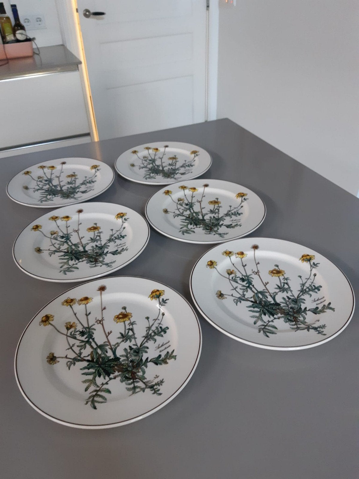 Dinerborden 24 cm Villeroy en Boch Botanica, 12 beschikbaar, Ophalen, Nieuw