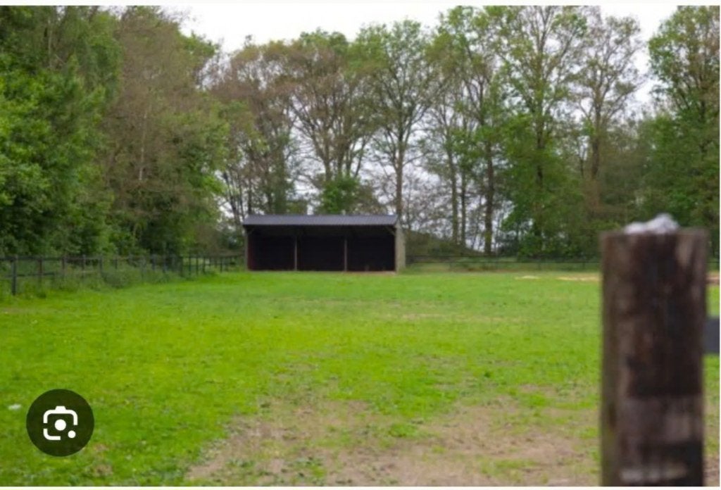 Gezocht weiland, Weidegang, 2 of 3 paarden of pony's