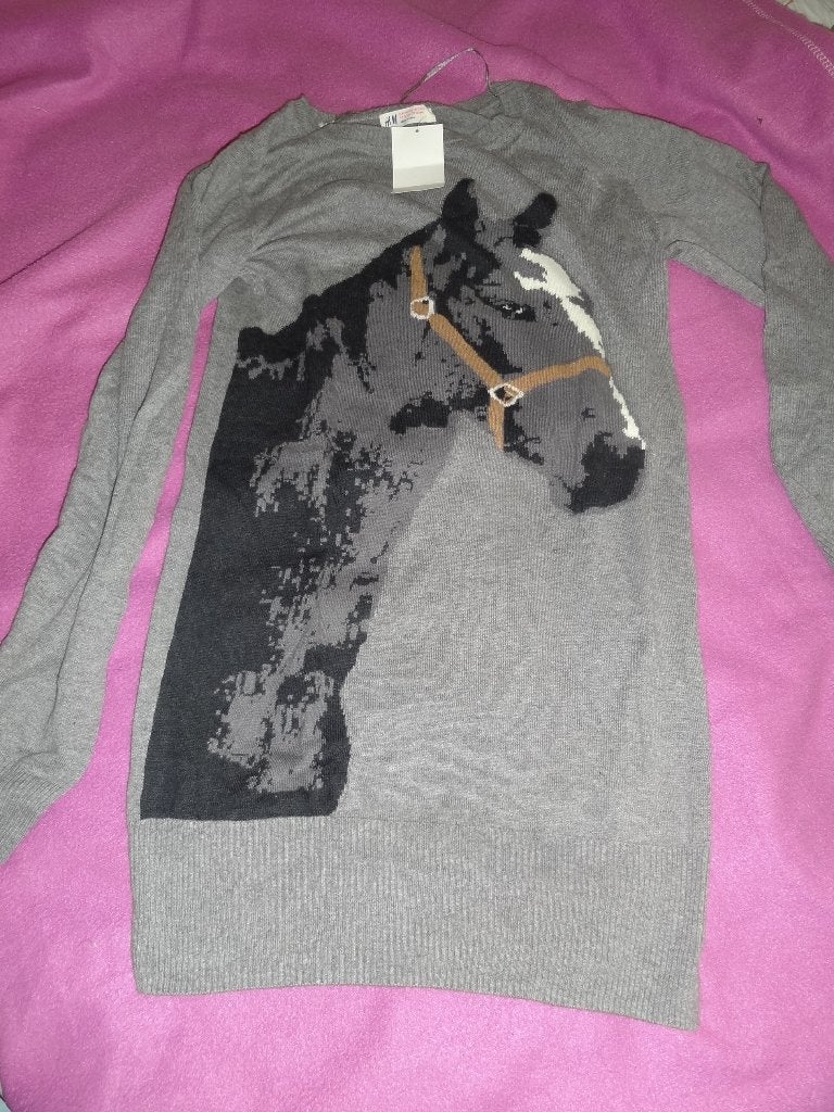lange trui met paard mt 158/164 *nieuw*, Ophalen of Verzenden, Nieuw, Meisje, Trui of Vest