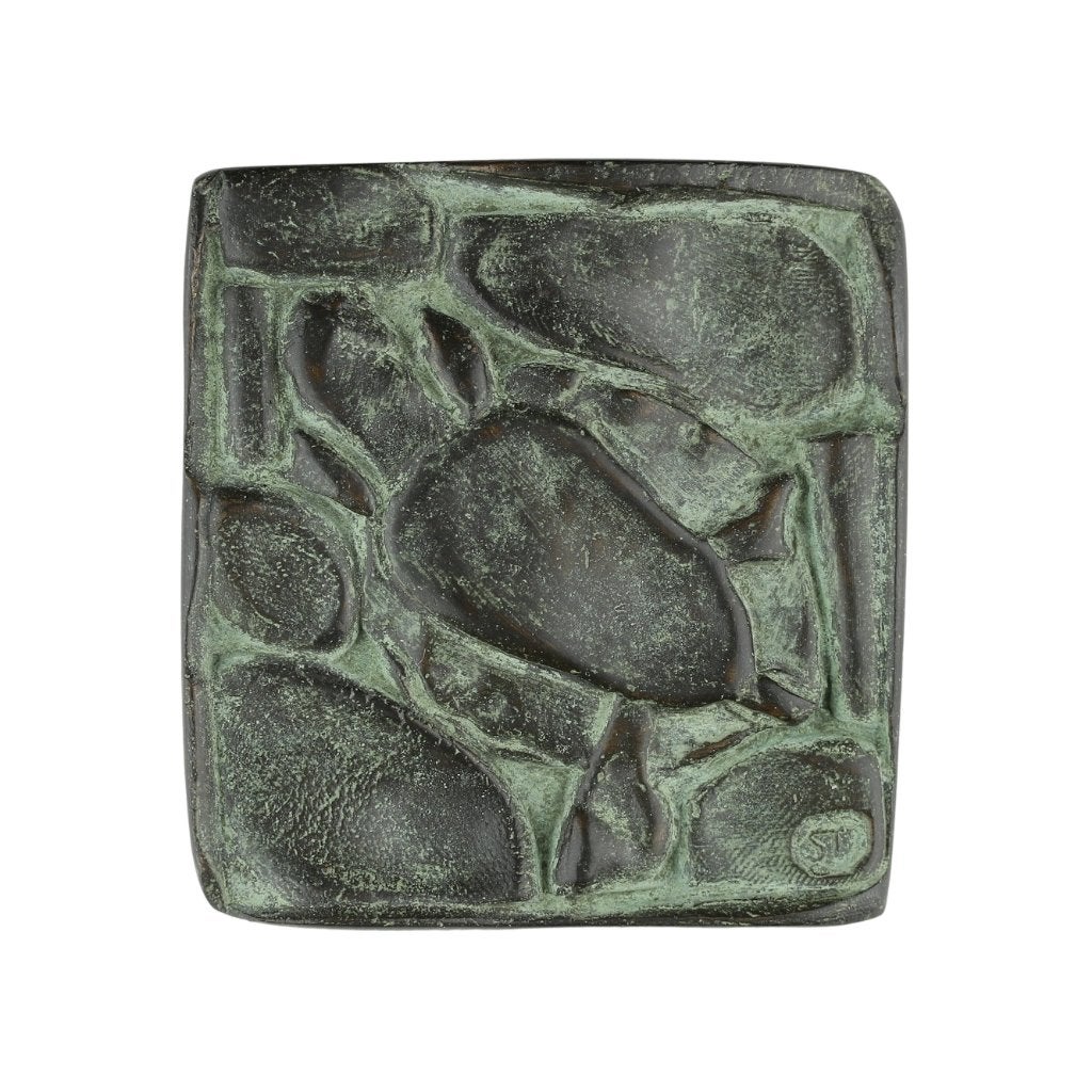 PENNING Geer Steyn JAARPENNING 2009 SCHILDPAD, Verzenden, Brons, Nederland