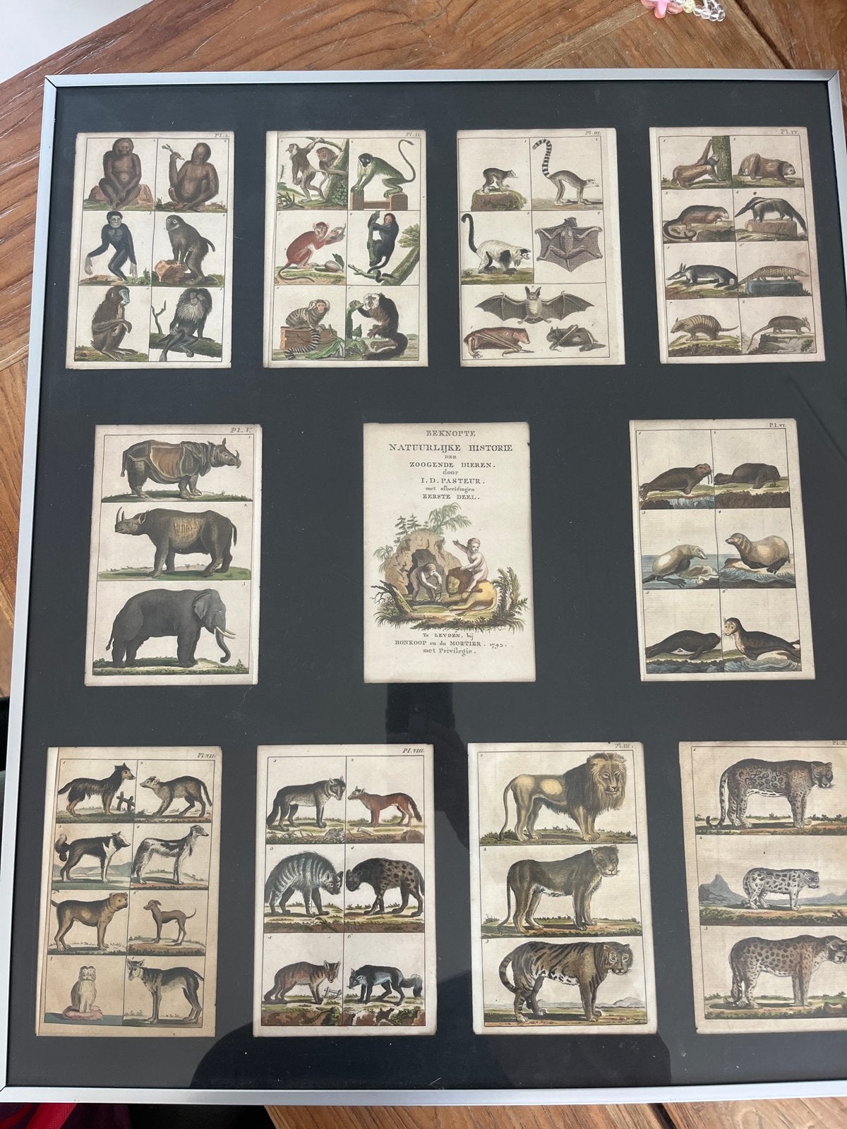 Beknopte Natuurlijke Historie der Zoogende Dieren - 1793, Handgekleurd, Ophalen of Verzenden, Gravure, Flora en Fauna