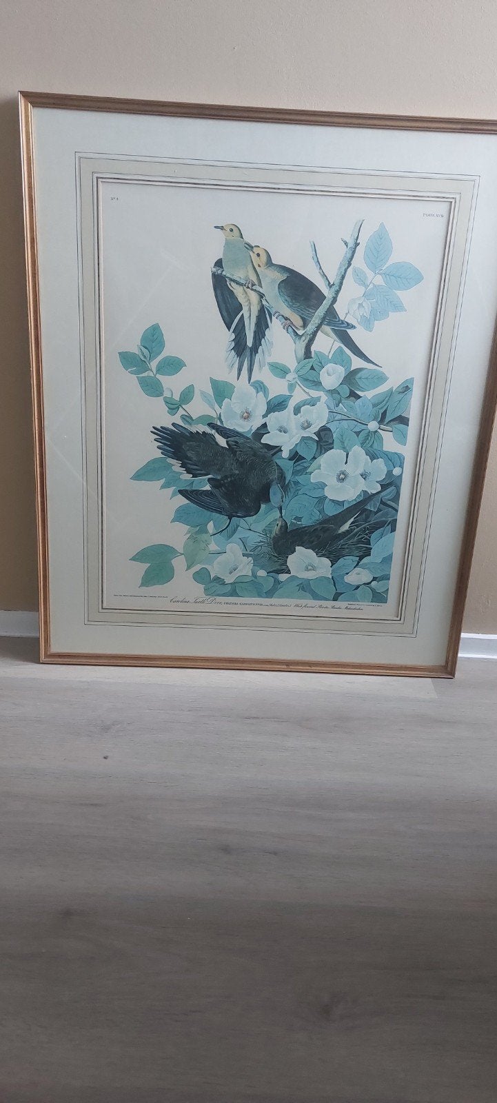 schilderij  76 bij 91 cm v d lijst, Ophalen, 75 tot 100 cm, Schilderij