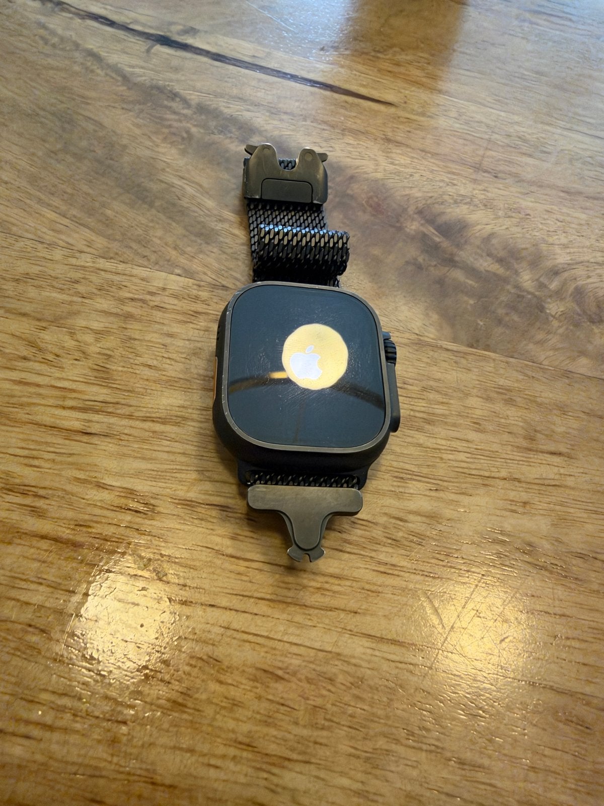 Apple Watch Ultra 2 (350 euro take it or leave it prijs)