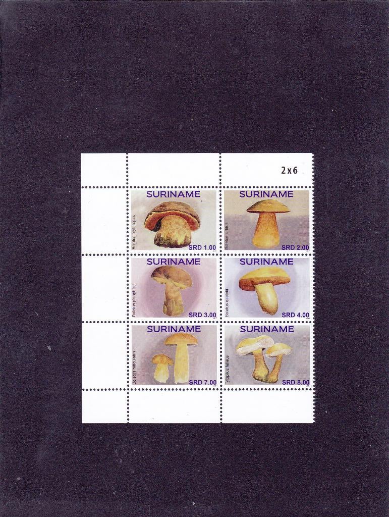 Suriname 2289/94 Paddestoelen 2017 (522), Verzenden, Postfris