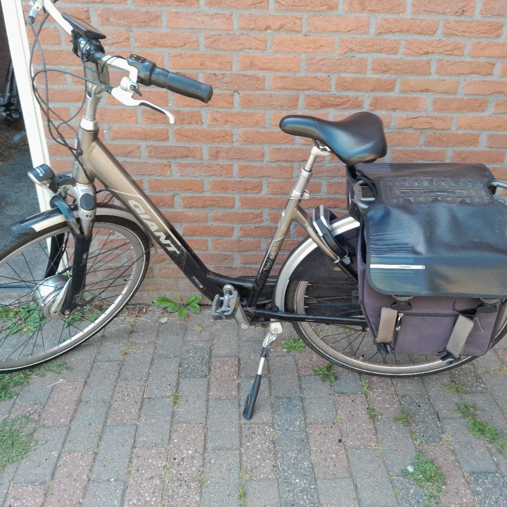 giant twist + go hybride, Ophalen, Giant, Zo goed als nieuw, 51 tot 55 cm