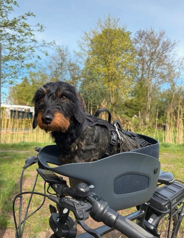 Kvisp Hondenfietsmand, Dieren en Toebehoren, Overige merken, Ophalen of Verzenden, Gebruikt, Hondenfietsmand