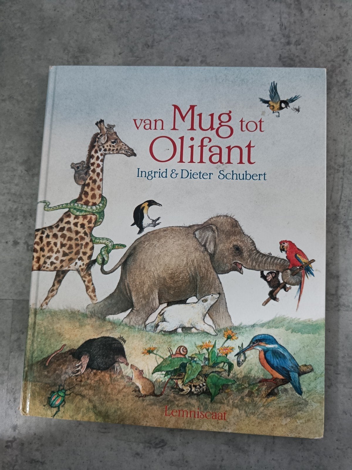 Van Mug tot Olifant - Ingrid & Dieter Schubert, Ophalen of Verzenden, Zo goed als nieuw, Ingrid & Dieter Schubert, 2 tot 3 jaar