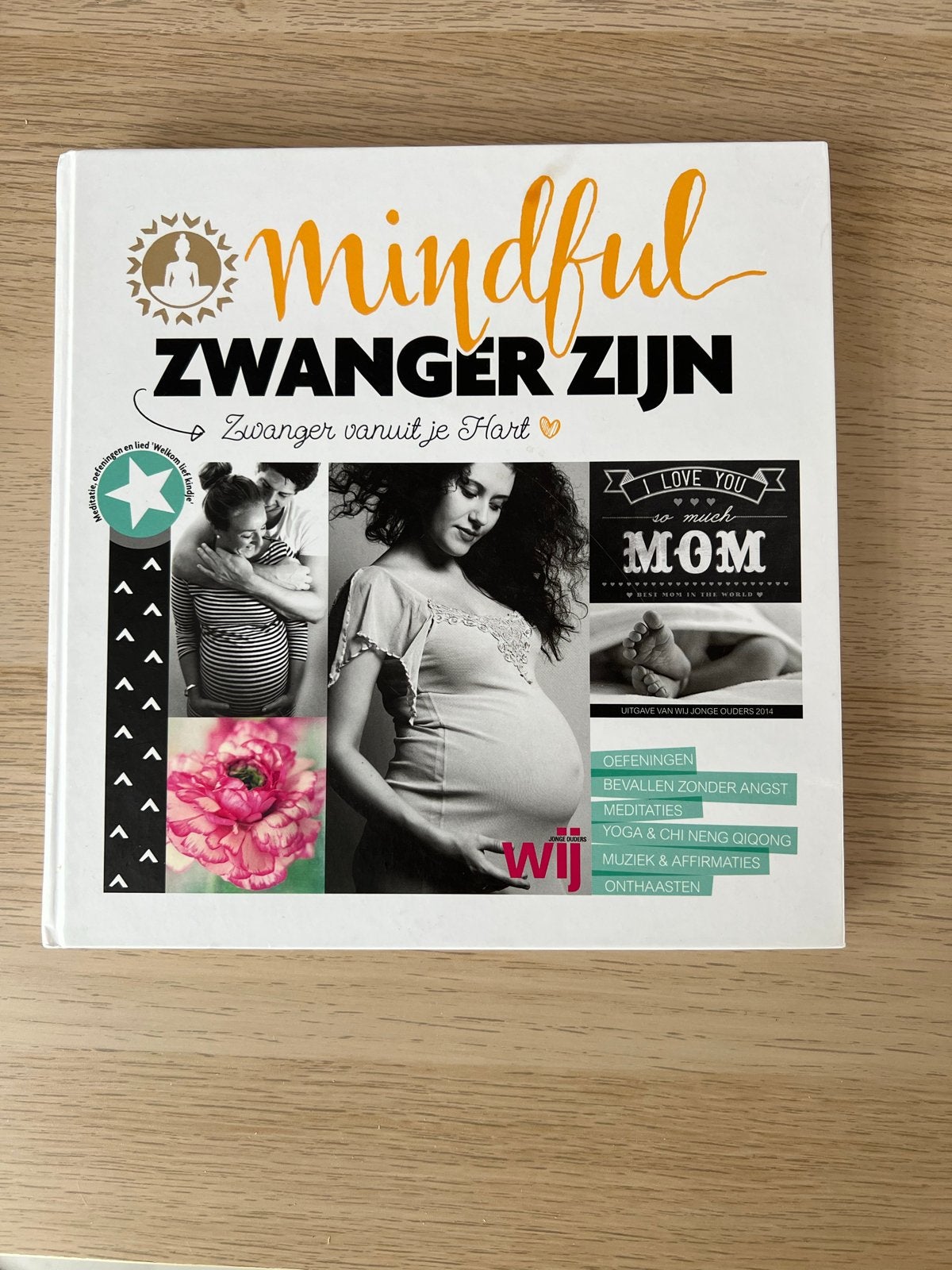 Mindful Zwanger Zijn - Boek met CD, Ophalen of Verzenden, Zo goed als nieuw, Zwangerschap en Bevalling