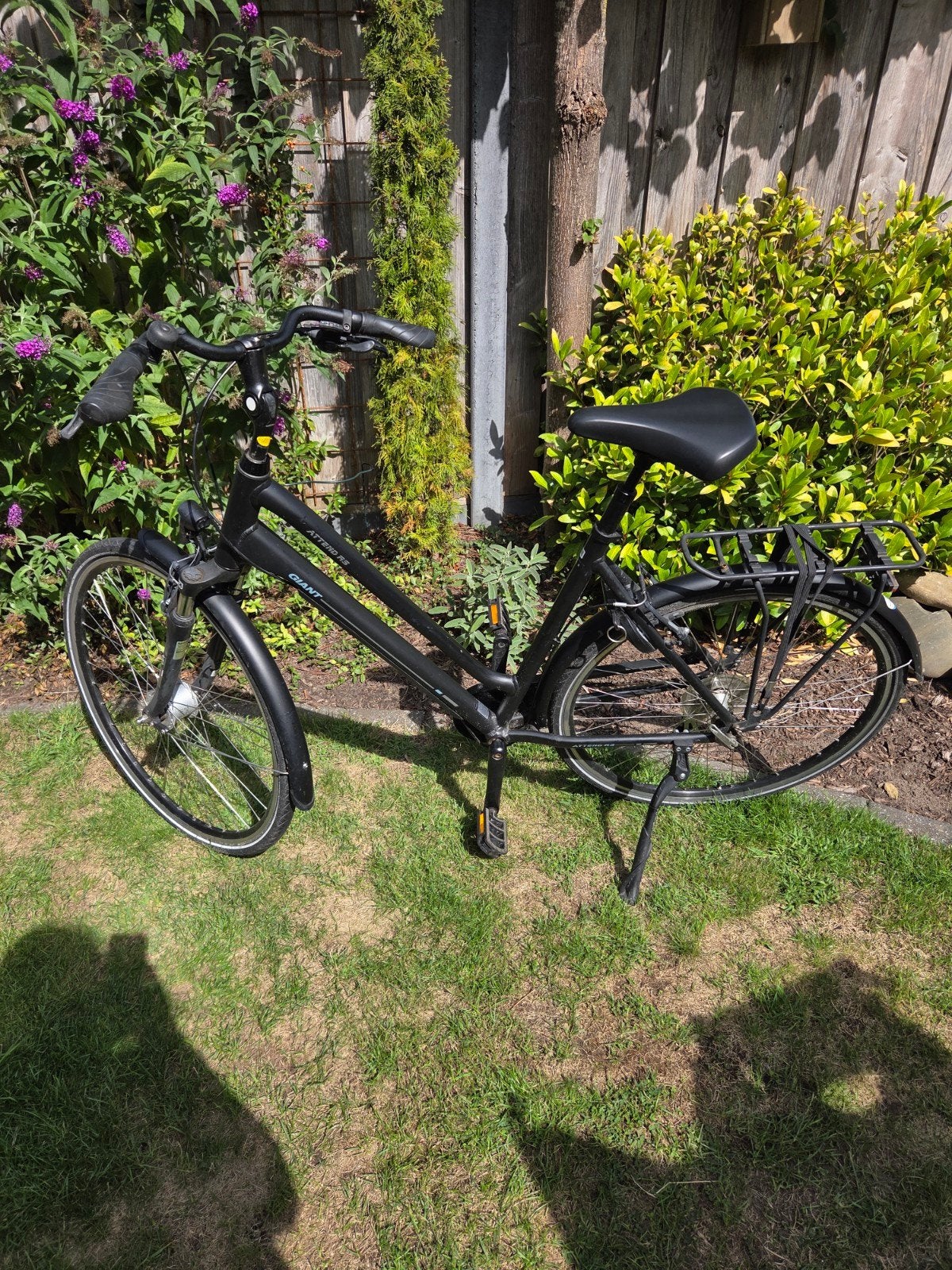 Giant Attend RS damesfiets - Maat L (55-57 cm), Fietsen en Brommers, Ophalen, Gebruikt, Velgrem, Versnellingen