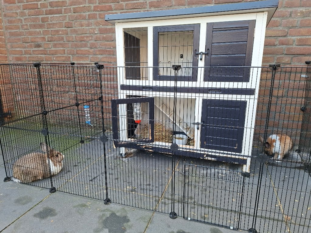Konijnenhok + twee konijnen, Vrouwelijk, Middelgroot, 0 tot 2 jaar