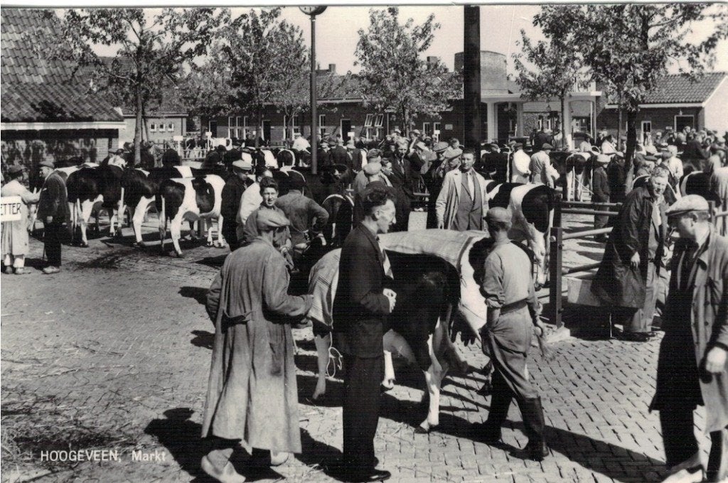 ansichtkaarten, Verzamelen, Ophalen of Verzenden, 1940 tot 1960, Ongelopen, Drenthe