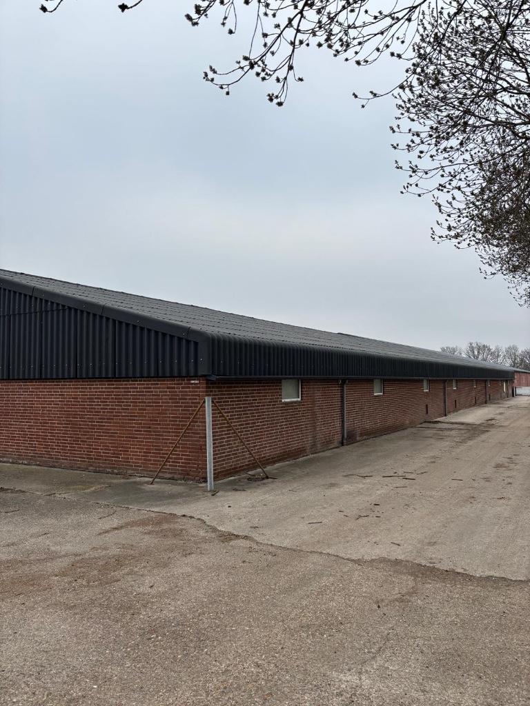 Golfplaten van 2021 [450], Boekhorst Trading, Info@boekhorsttrading.com, Singel 16