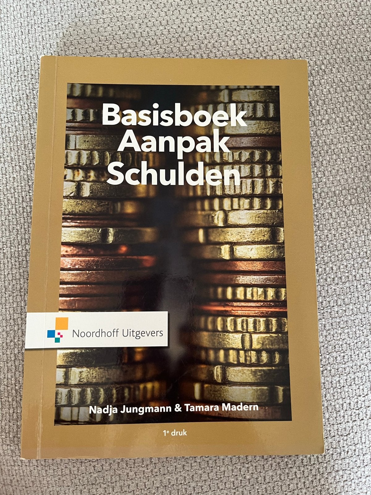 Basisboek Aanpak Schulden - Gelezen met arceringen, Ophalen of Verzenden, Gelezen, HBO