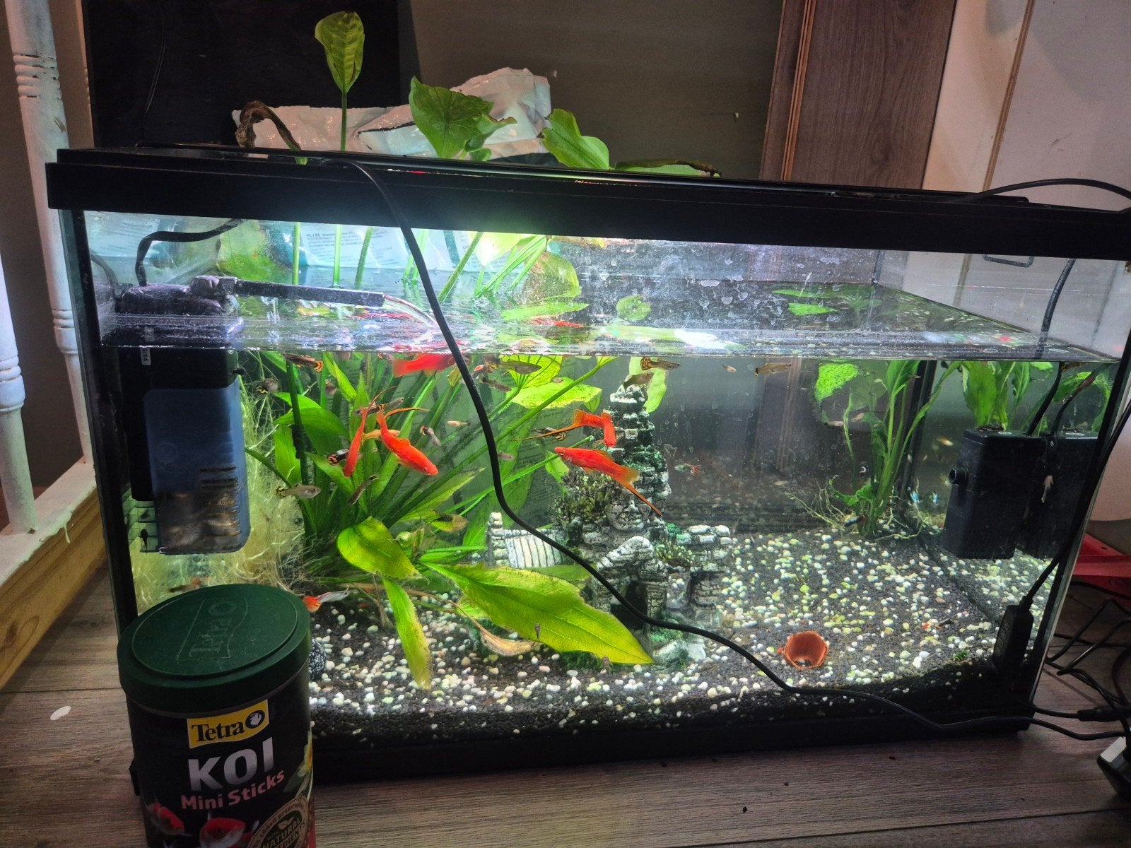Aquarium, Ophalen, Leeg aquarium