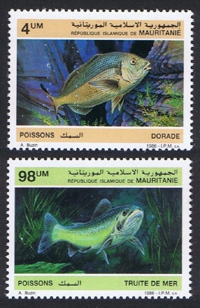 MAURITANIË 1 - Dieren: vissen (Buzin), Ophalen of Verzenden, Postfris, Dier of Natuur