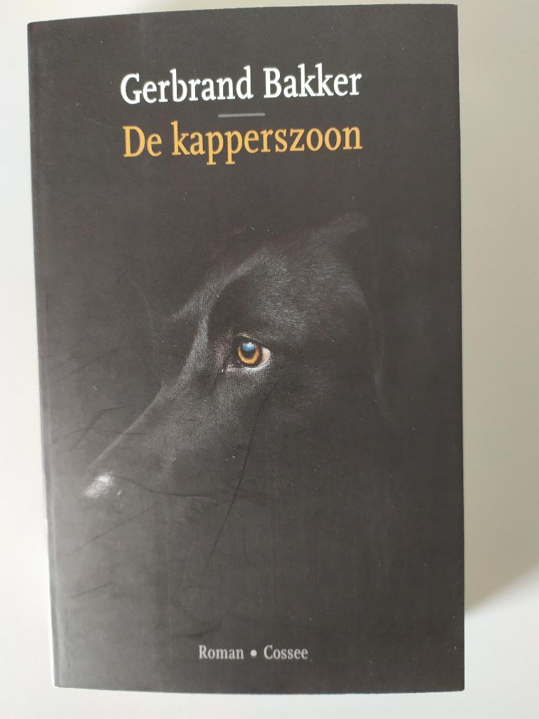 Gerbrand Bakker, De Kapperszoon, Boeken, Ophalen of Verzenden, Zo goed als nieuw
