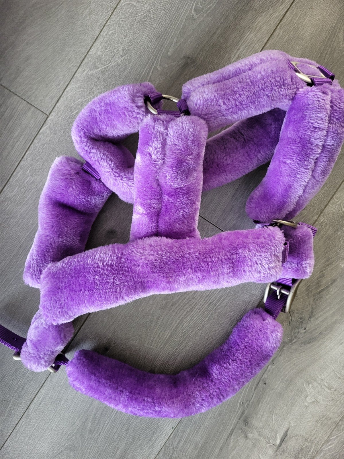 TE KOOP PAARSE BONTE HALSTER MAAT FULL, Ophalen of Verzenden, Halster, Full