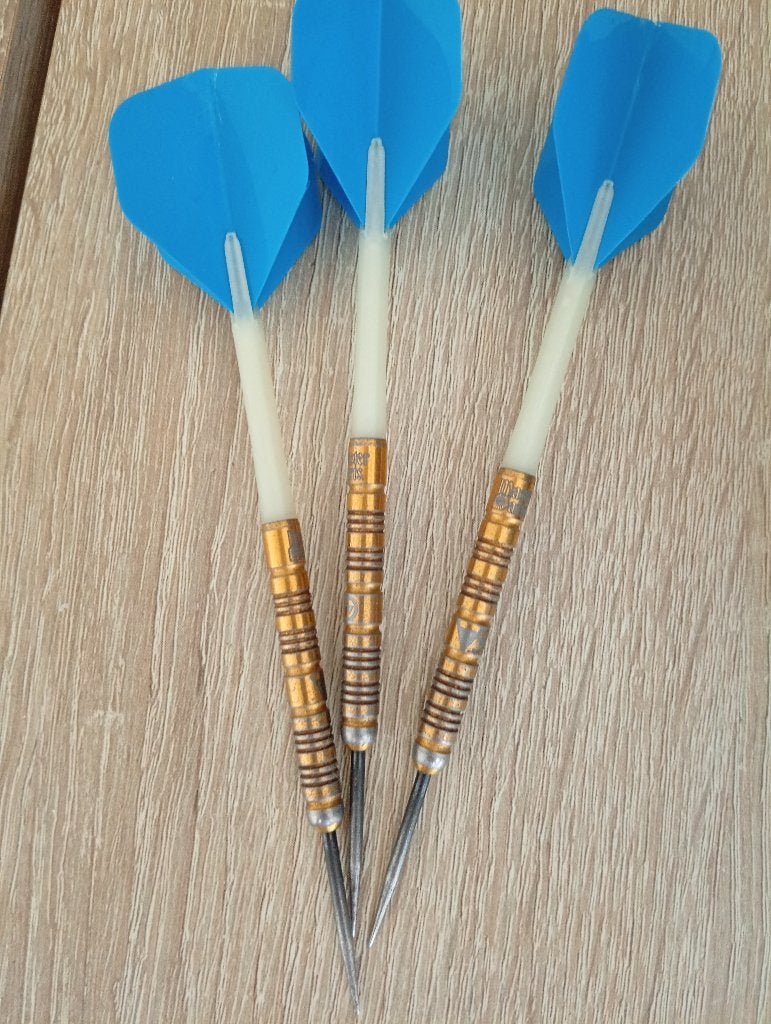 Vincent van der voort masterdarts, Ophalen of Verzenden, Zo goed als nieuw