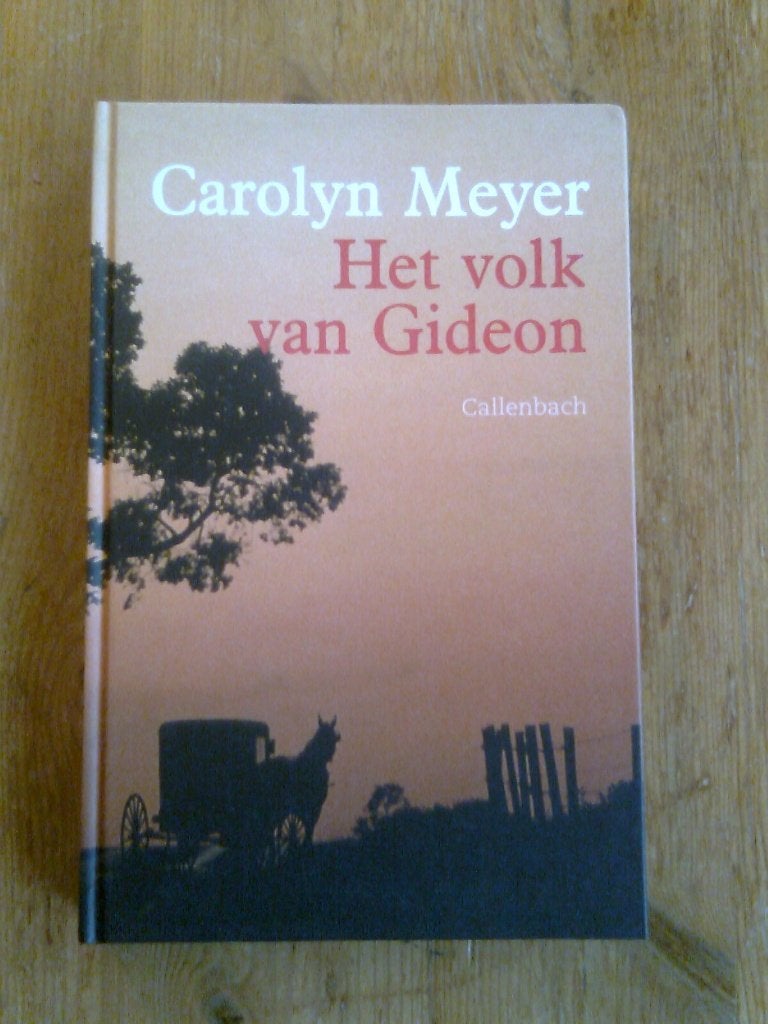 Het volk van Gideon,  door Carolyn Meyer, Boeken, Ophalen of Verzenden, Zo goed als nieuw