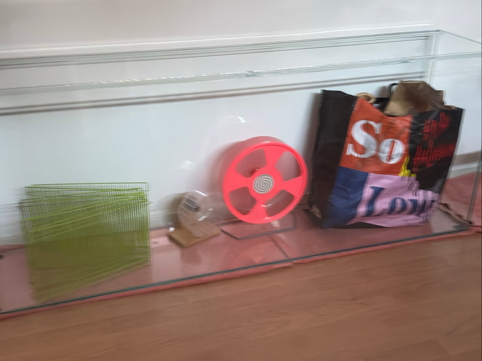 Groot verblijf / hok van glas., Dieren en Toebehoren, Knaagdieren en Konijnen | Hokken en Kooien, Ophalen, 60 tot 90 cm, Muis
