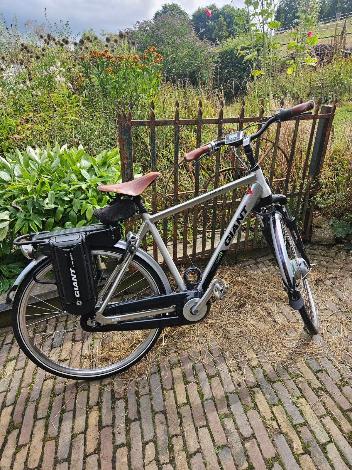 Giant Twist elektrische fiets te koop accu's kapot, Ophalen, Gebruikt, Giant, 51 tot 55 cm