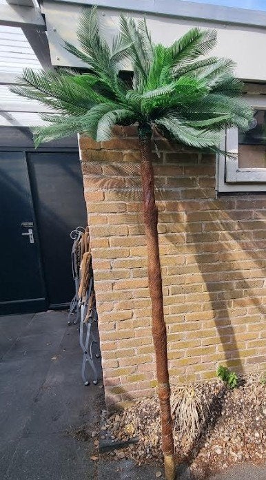 Kunst palmboom, Kunststof, Ophalen, Gebruikt, Overige typen