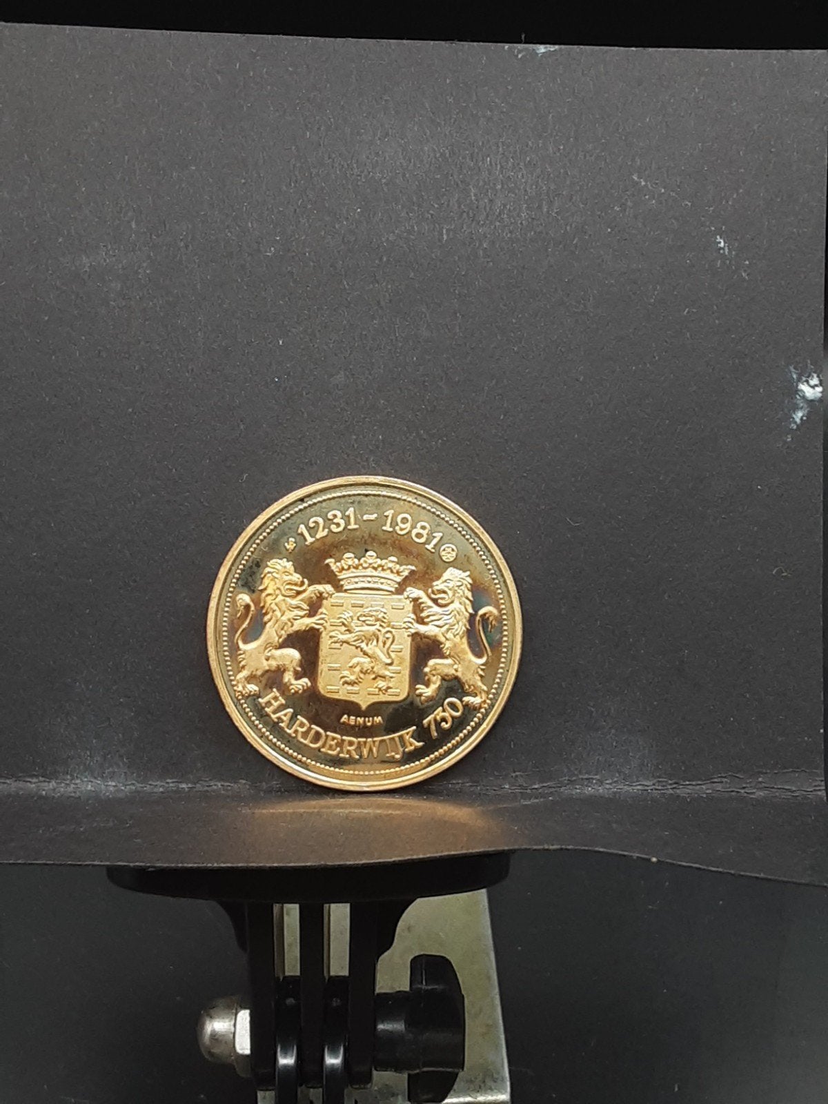 Penning 750 jaar Harderwijk, Ophalen of Verzenden, Overige materialen, Nederland