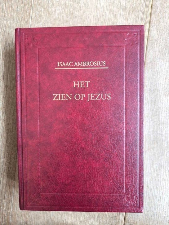 Isaac Ambrosius 'het zien op Jezus', Ophalen of Verzenden