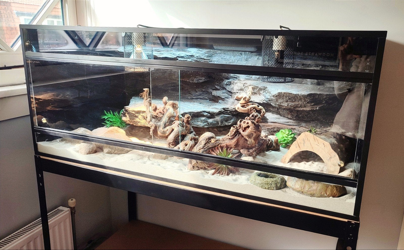 Compleet premium baardagaam terrarium 120cm + onderstel, Dieren en Toebehoren, Ophalen, Zo goed als nieuw, Terrarium of Paludarium