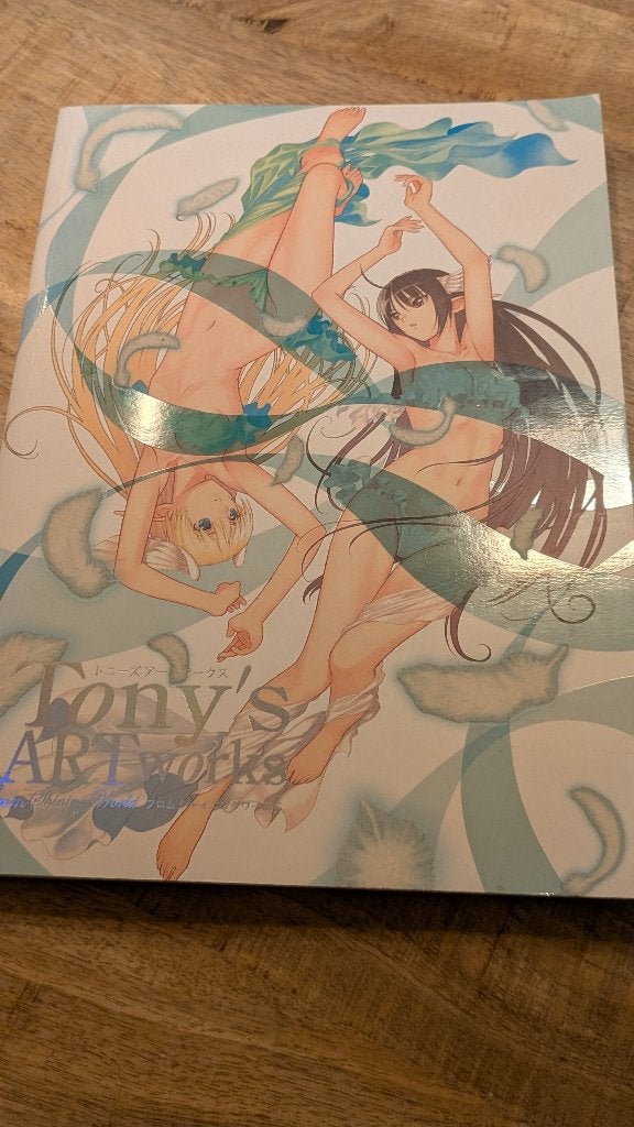 Tony's ARTworks from Shining World | Tony Taka | artbook, Eén stripboek, Ophalen of Verzenden, Zo goed als nieuw, Diversen