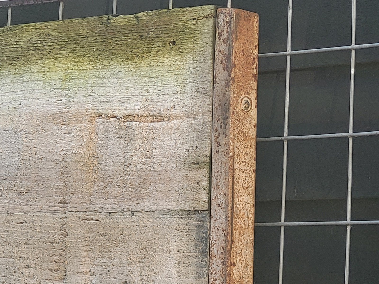5 x Houten schot 130x130 cm - Super staat voor terras/schutt, Ophalen, Minder dan 3 meter, Hout, 1 tot 2 meter