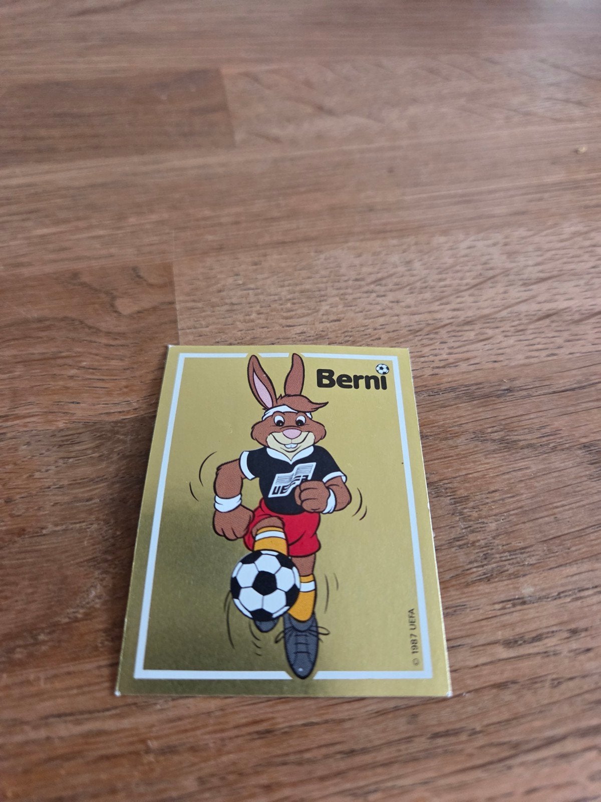 Panini EK 88, Verzamelen, Sportartikelen en Voetbal, Ophalen of Verzenden, Zo goed als nieuw, Buitenlandse clubs, Poster, Plaatje of Sticker