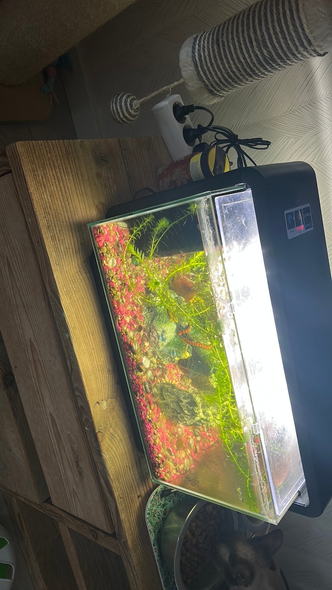 Aquarium / Vissen bak home30 van SuperFish met 30 guppen, Ophalen, Gebruikt, Inclusief vissen, Gevuld zoetwateraquarium